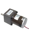 55ZY24-25-02 60mm 24V 30RPM DC Motor