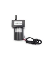 55ZYT24-25 70mm 24V 100RPM DC Motor