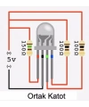 5mm RGB Led Ortak Katot - 4 Pin