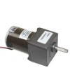 60mm 24V 120RPM DC Motor 55ZY24-25-02