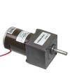60mm 24V 20RPM DC Motor 55ZY24-25-02