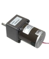 60mm 24V 60RPM DC Motor 55ZY24-25-02
