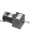 60mm 24V 60RPM DC Motor 55ZY24-25-02