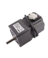 60ZWN24-30-A / 60JB20GN 24V 25W 150RPM Redüktörlü Brushless DC Motor