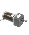 63ZY24-40 24V 10RPM DC Motor
