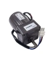 70mm 220V 250 RPM AC Motor YN70-15