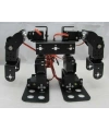 8 Eksenli İnsansı Robot - Humanoid Robot