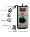 830A AC220V 4000W Motor Hız Kontrol Modülü