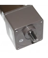 85ZY24-120-02 24V 100RPM DC Motor