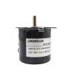 A60-KTYZ 1RPM 14W AC Senkron Motor