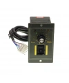 AC Motor Speed ??Control Module 150W