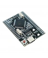 Arduino Mega2560 Pro Mini - Type C