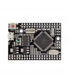 Arduino Mega2560 Pro Mini - Type C