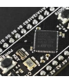 DFROBOT STM32F411 Black Pill Geliştirme Kartı