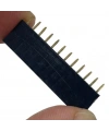 Dişi Pin Header 40 Pin 2.54mm 1x40 180° Tek Sıra