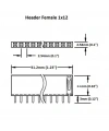 Dişi Pin Header 40 Pin 2.54mm 1x40 180° Tek Sıra