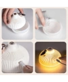 Divex Soğan Görünümlü Hava Nemlendirici Onion Design Humidifier H-48
