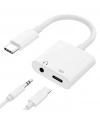 Divex Type-C Erkek 3.5mm Jack ve Type-C Dönüştürücü Adaptör DC-173