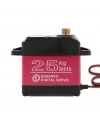 DSSERVO DS3225 25kg Servo Motor - 180 Derece - Su