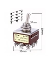 E-SG-402 ON-ON 12-Pin Toggle Switch