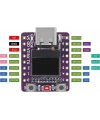 ESP32-C3 0.42 İnç OLED Modülü WiFi + Bluetooth ESP32 Geliştirme Kartı