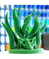 eSUN Çam Yeşili Pla+ Filament 1.75mm 1 KG