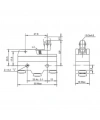 Gwest AZ-15GW22-B Kısa Metal Makaralı Mikro Switch 15A 1NO + 1NC