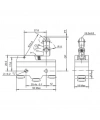 Gwest AZ-15GW2277-B Tahrikli Metal Makaralı Mikro Switch 15A 1NO + 1NC