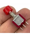 IC-139B Yaylı Buton 6mm 3P 1NO/1NC DS-612