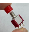 IC-139B Yaylı Buton 6mm 3P 1NO/1NC DS-612