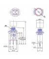 IC-139B Yaylı Buton 6mm 3P 1NO/1NC DS-612