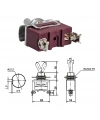IC-152S-2 SWION Toggle Switch On-Off 15A 2P Ø12mm XT11-B
