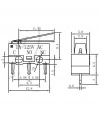 IC-162 Micro Switch Mini Paletli 1A-125V KW10-Z1P