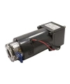 KGBX60F 12V 60RPM Frenli DC Motor