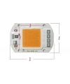 Kırmızı 220V Projektör Cob Led 50W Driver Çipli