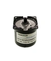 KTYZ-60 2.5RPM 14W AC Senkron Motor