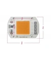 Mavi 220V Projektör Cob Led 50W Driver Çipli