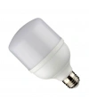 NOAS YL95-2001 20W 6500K Led Torch Ampul