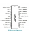 P89LPC922FN 8-Bit 18MHz 8KB Dip-20 Mikrodenetleyici