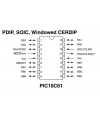 PIC16C61-20/P DIP-18 20MHz Mikrodenetleyici