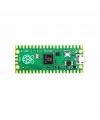 Raspberry Pi Pico