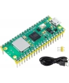 Raspberry Pi Pico WH