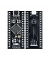 STM32F401RCT6 ARM STM32 Geliştirme Kartı Type-C