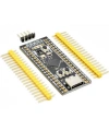 STM32F411CEU6 Black Pill 100MHz - 512kB Geliştirme Kartı