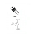 TIP42C - TO220 PNP Transistor