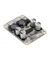TPA3110 1*30W Mono Amfi Devresi