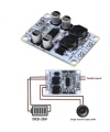 TPA3110 1*30W Mono Amfi Devresi