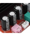 TPA3116D2 2*100 W Çift Kanal Stereo Dijital Amplifikatör