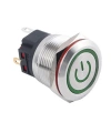 WD22B-P1Z-EC 22mm Düz Anahtarlı Işıklı Power Metal Buton - Yeşil
