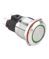 WD22E-P1Z-E 22mm Düz Anahtarlı Işıklı Metal Buton - Yeşil